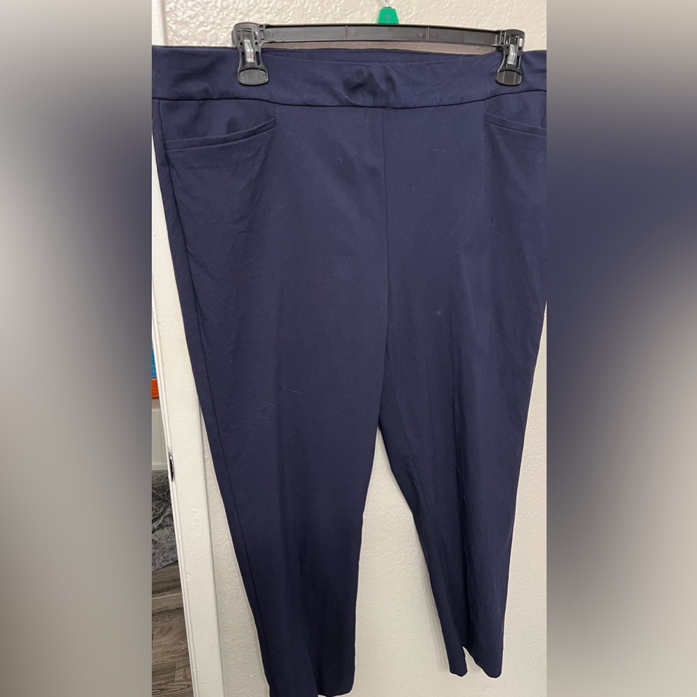 Chicos size 3R Navy Brigitte Pants